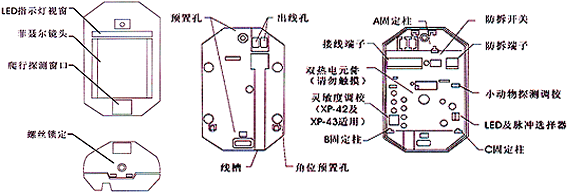 紅外線檢測器（防盜報(bào)警器/紅外線報(bào)警器）XP-43內(nèi)部結(jié)構(gòu)